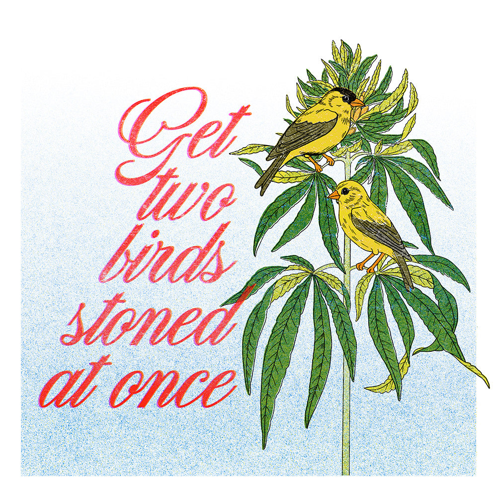 Get Two Birds Stoned At Once Print